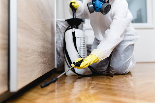 Best Best Pest Control Companies  in Glencoe, AL