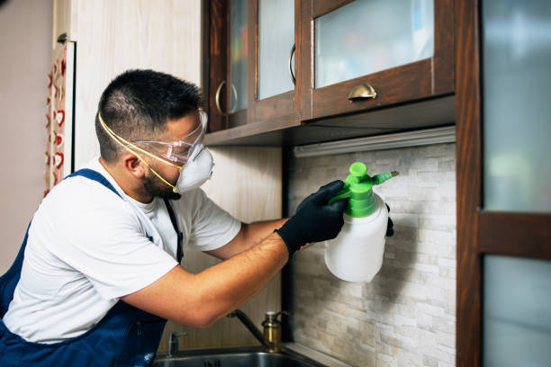 Best Insect Control  in Glencoe, AL