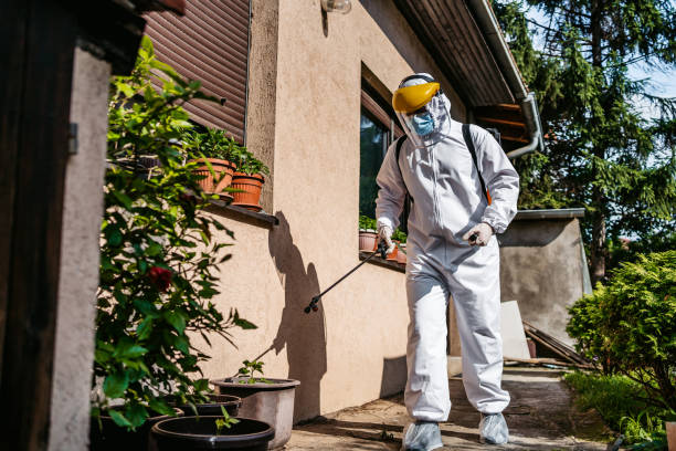 Best Termite Control Services  in Glencoe, AL