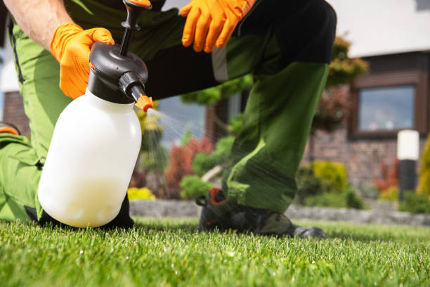 Best Pest Control for Restaurants  in Glencoe, AL