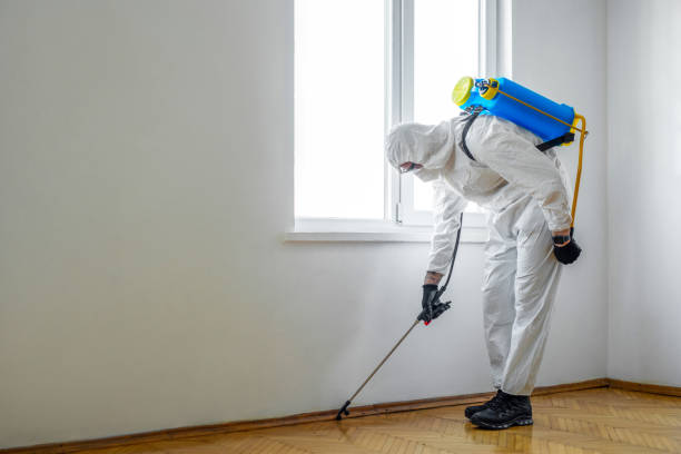 Best Pest Control Cost  in Glencoe, AL