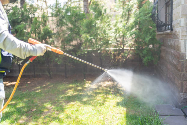 Best Wildlife Control Services  in Glencoe, AL
