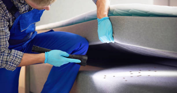 Best Rat Extermination Near Me  in Glencoe, AL