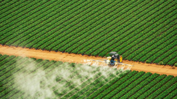 Professional Pest Control in Glencoe, AL