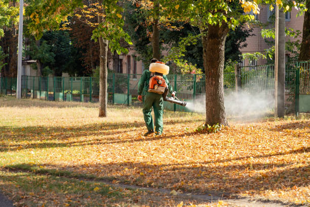 Best Cockroach Control Services  in Glencoe, AL
