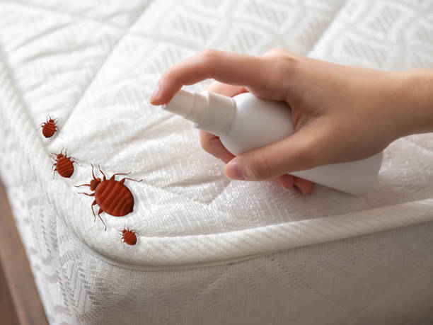 Best Pest Inspection Near Me  in Glencoe, AL