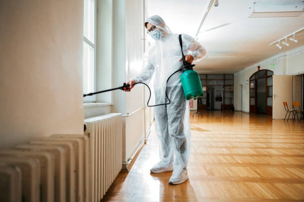 Best Pest Inspection Near Me  in Glencoe, AL