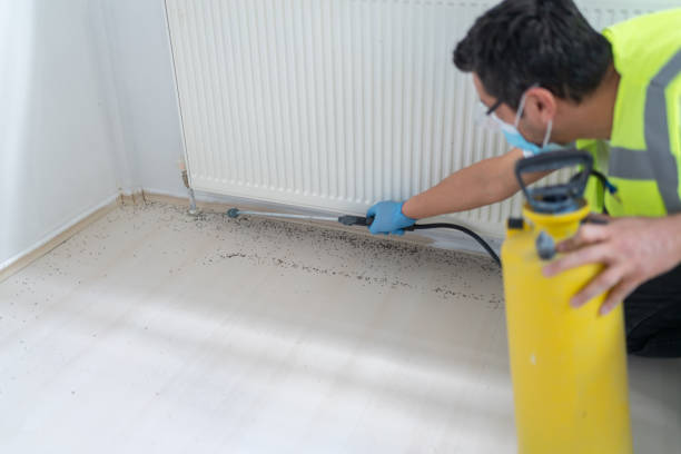 Pest Control Cost in Glencoe, AL