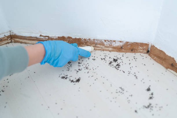 Pest Control for Restaurants in Glencoe, AL