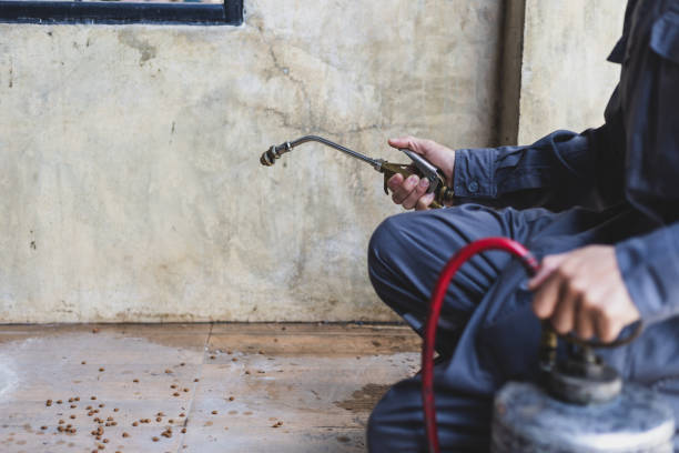 Best Termite Control Services  in Glencoe, AL
